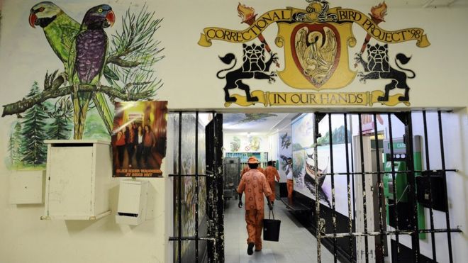 Prisoners walk in a corridor at the Pollsmoor Prison in Cape Town, near painted murals of parrots, on March 18, 2011