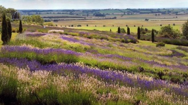 இயற்கை எழில் மிக்க யார்க்க்ஷயர்