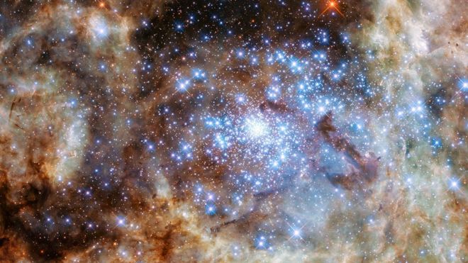 Tarantula Nebula of the LMC