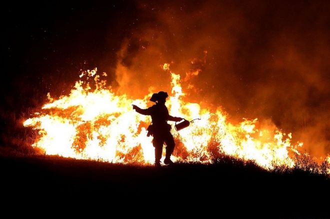 A Fire firefighter uses a drip torch to start a backfire as he battles the Rocky Fire on 3 August 2015 near Clearlake, California