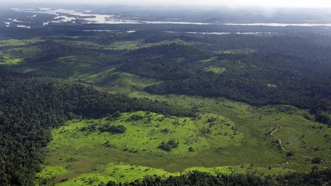 Overview of a deforested area in the border of Xingu river, 140 Km from Anapu city in the Amazon rain forest, northern Brazil, 19 February 2005.