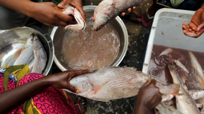 Cooks prepare fish during the attieke and fish festival in Abidjan, Ivory Coast