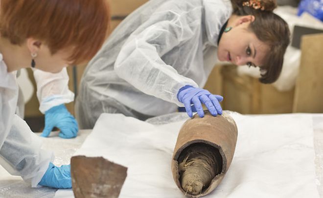 The scientists examining an artefact