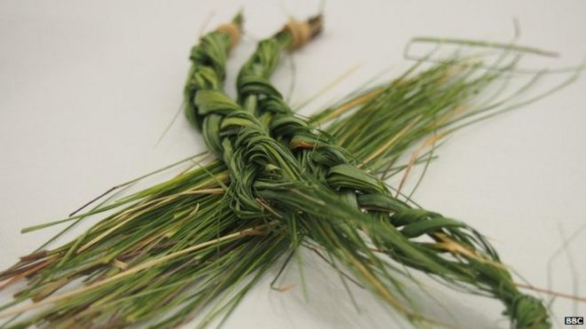 pieces of braided and unbraided sweetgrass