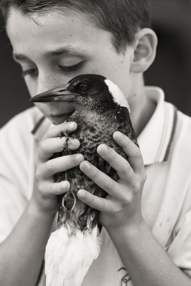 பென்குயினும், குடும்பமும்