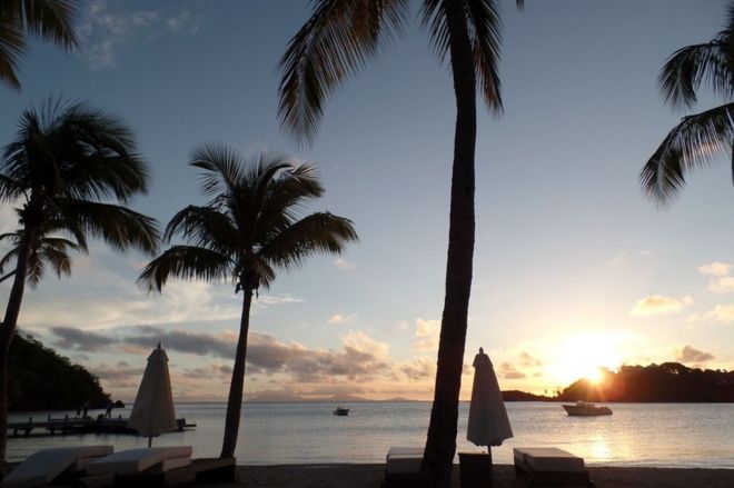 Palm trees at the luxury Carlisle Bay resort in Antigua - December 2015