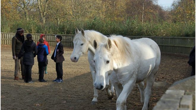 Children and horses in Hyde Park