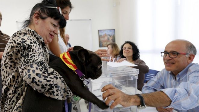 A woman carries her dog, wearing a Catalan flag, as she casts her ballot