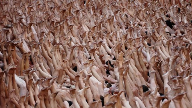 Est Some Photos Spencer Tunick Organizing Large Scale Nude