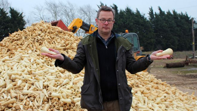 Hugh Fearnley-Whittingstall standing in front of a mountain of parsnips