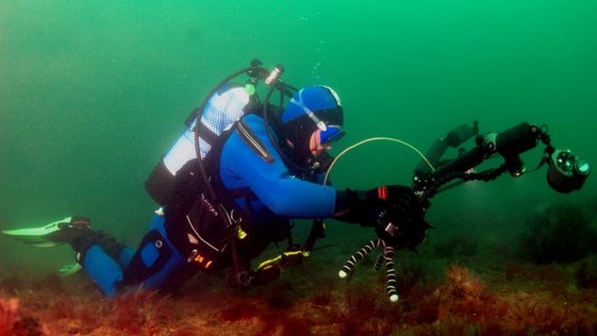 Howard surveying the seabed