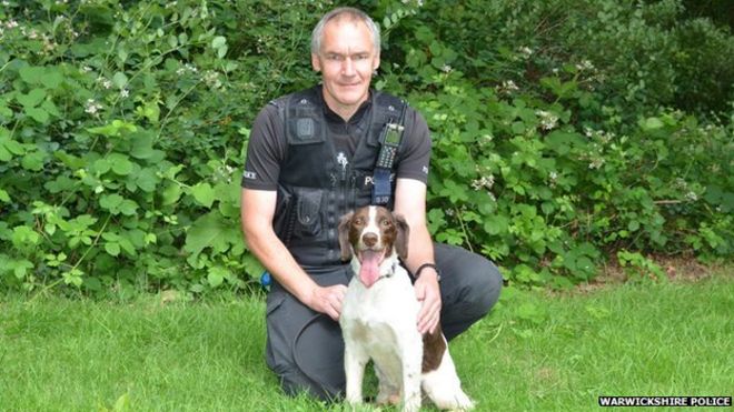 Police Springer Spaniel awardedd posthomous 'OBE' _82622642_pcandycrouchandpdjake