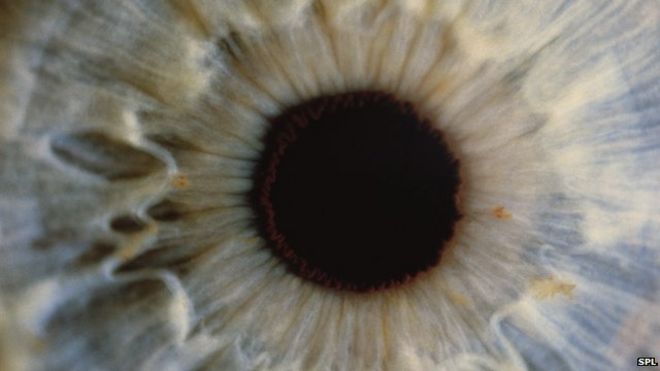 Eye photo chứng khoán - virus có thể gây ra tình trạng viêm ở mắt