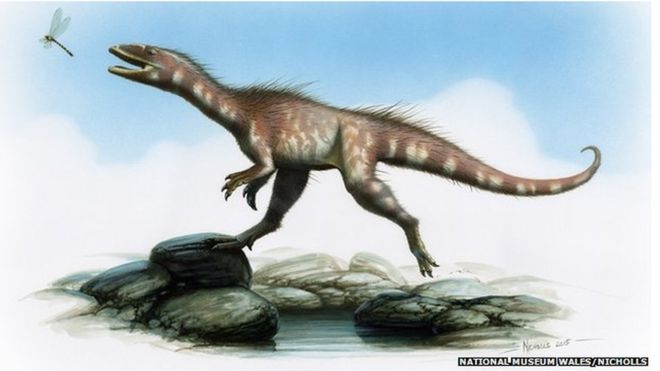 Artist's reconstruction of the dinosaur based on fossils found in south Wales
