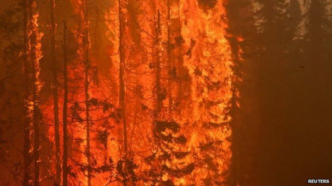 Trees are consumed by flames as an out of control wildfire burns near Willow, Alaska on 14 June, 2015