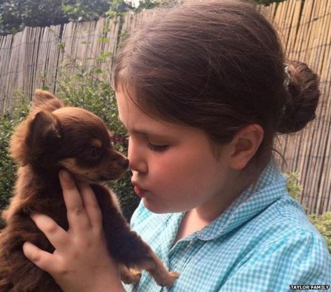 Image caption Lexie Taylor&#39;s puppy Caramel was taken when the family&#39;s home was burgled - _83656950_caramel_kiss