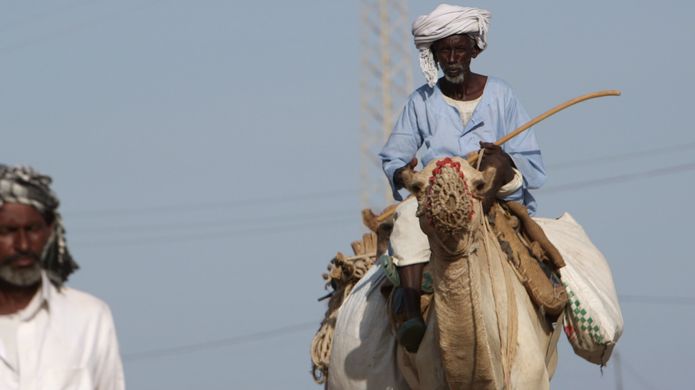 A man riding a camel in Eritrea