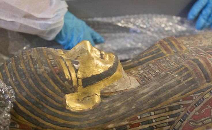 A scientist's blue gloves next to a sarcophagus