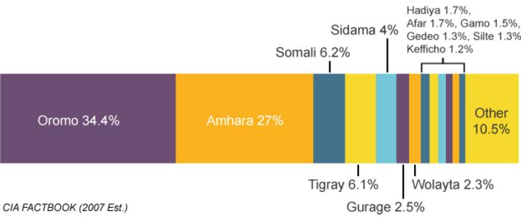Chart showing ethnic groups of Ethiopian population