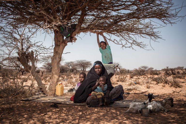 Mother Deeqa and her children find shade from the midday sun under a tree near their home in a rural area outside of Kiridh, Somaliland.