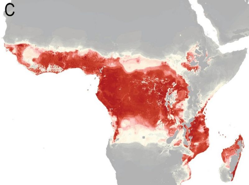 Zika Virus 2 2 Billion People In At Risk Areas BBC News