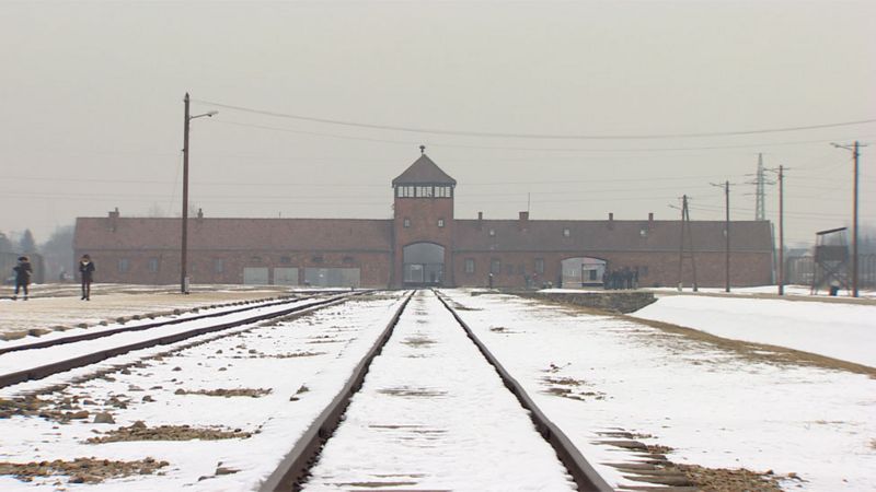 Naked Demonstrators Kill Sheep Under Auschwitz Gates Bbc News