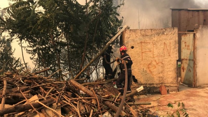 100 حريق في 17 ولاية جزائرية حتى الآن