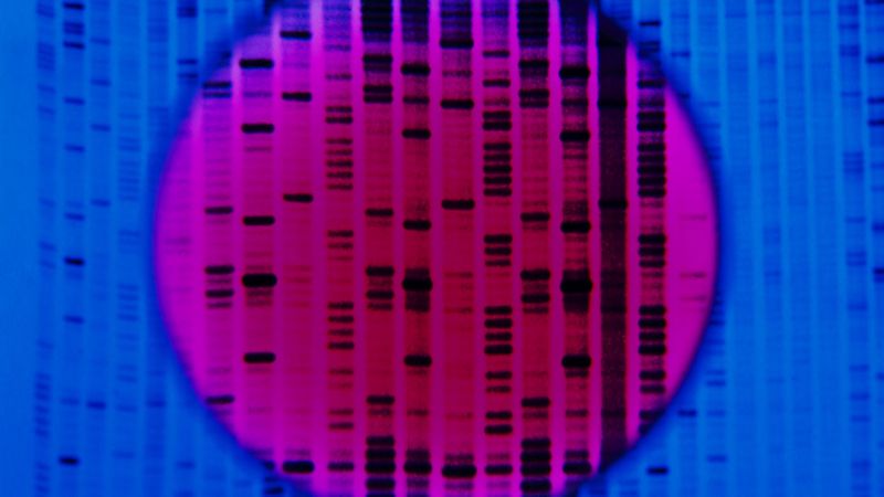 Crispr Cas Las Serias Advertencias De Unos Cient Ficos Sobre Los