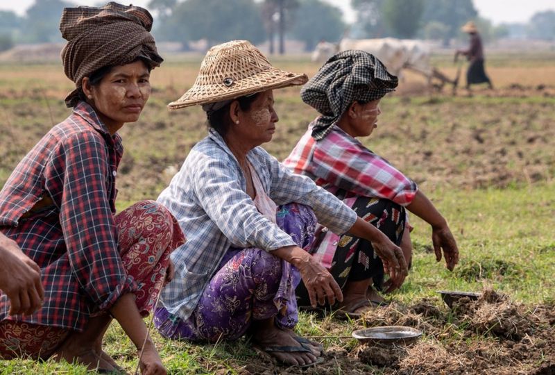 Myanmar Civil War We Wish We Could Go Back Bbc News