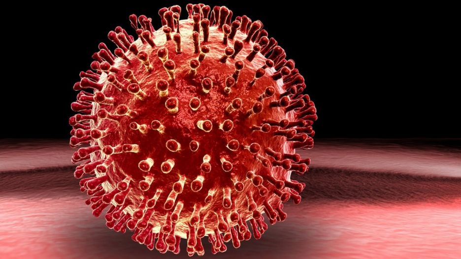 Viruses are more dangerous when they infect their victims in the morning, a University of Cambridge study suggests. Image SPL
