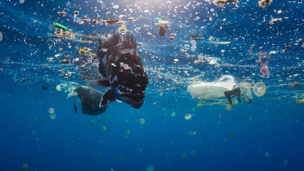 Image result for blue planet 2 plastic pollution