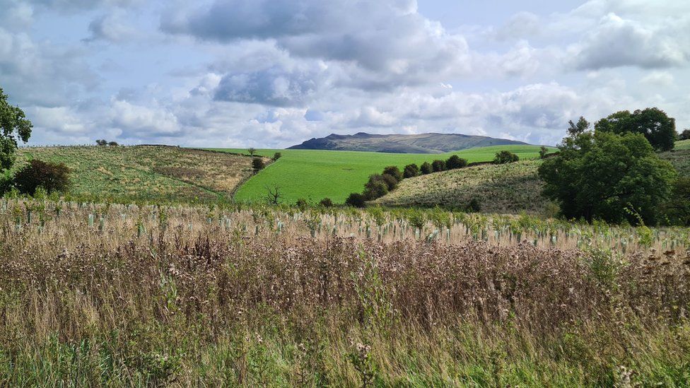 Round Britain Runner To Design Wicksteed Park Trails Bbc News