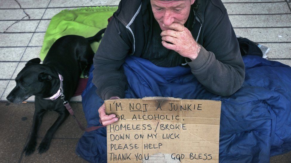 How an online shop helps homeless dogs BBC Newsbeat