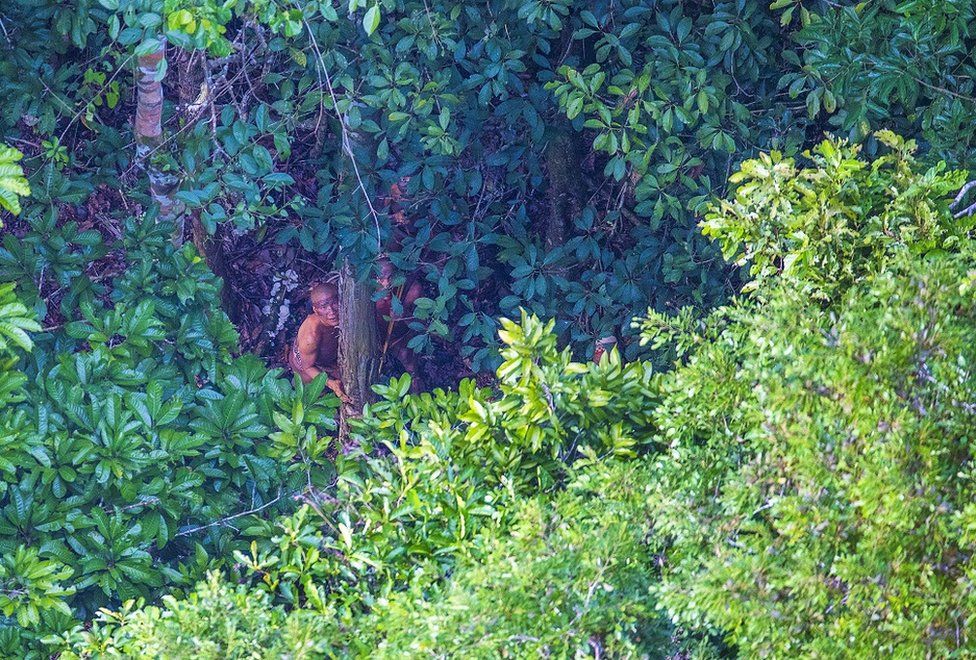 Índios observam aeronave escondidos atrás de árvore