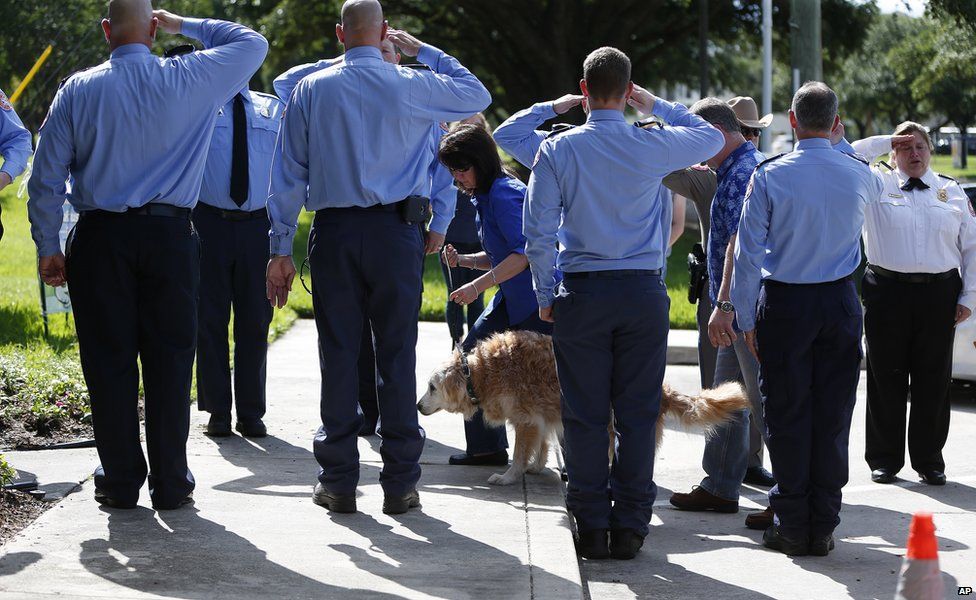 Bretagne's last walk