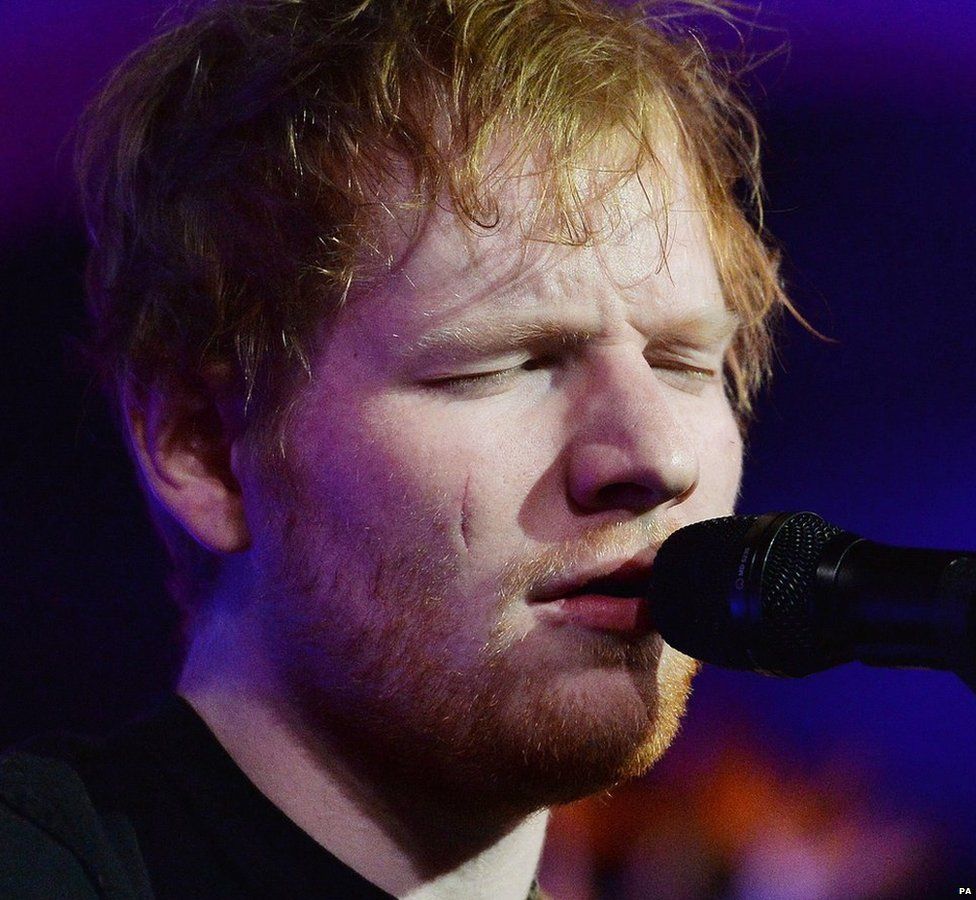 Ed Sheeran performing at the hospice fundraising event at the Natural History Museum