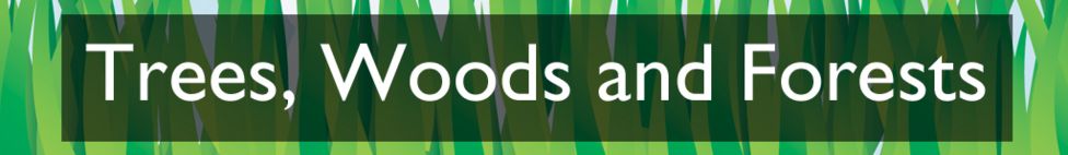 Section heading: Trees, Woods and Forests