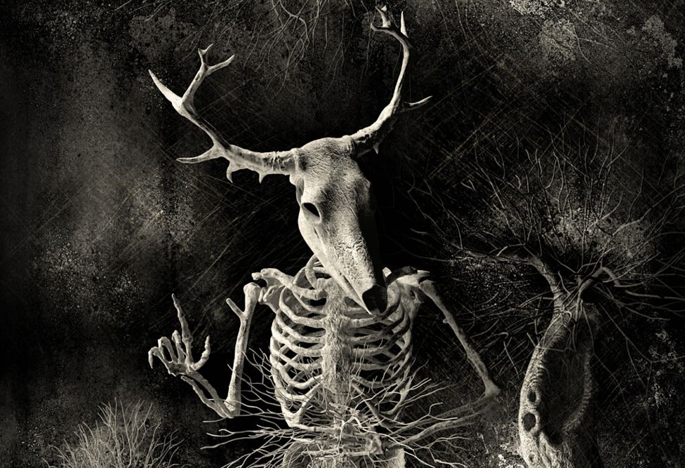 Stickman - The Vicissitudes of Crohn's (Resolution)