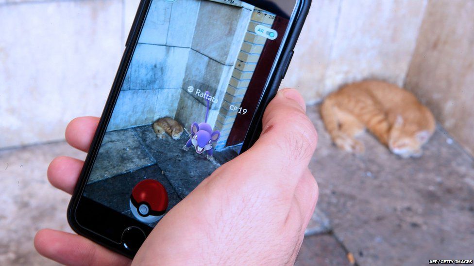 Cat in Pokemon Go game