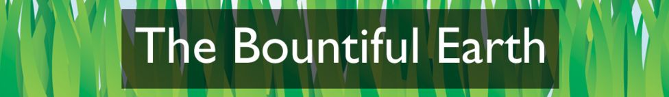 The Bountiful Earth