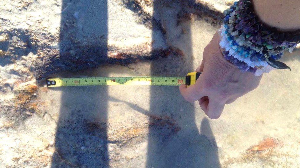 Dinosaur Footprints Found On Western Australian Beach BBC News