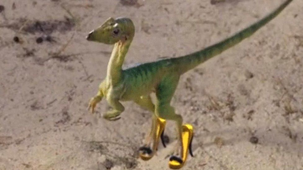 A small dinosaur in heels