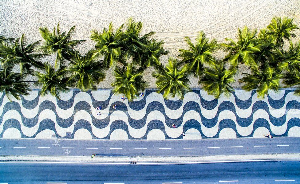 Patterned pavements contrast with green palm trees