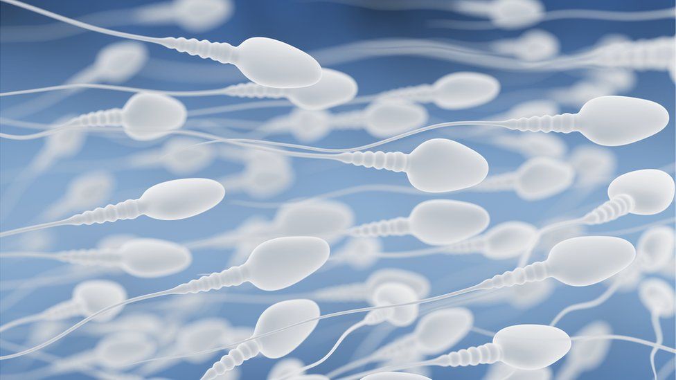 Compilation echange sperme