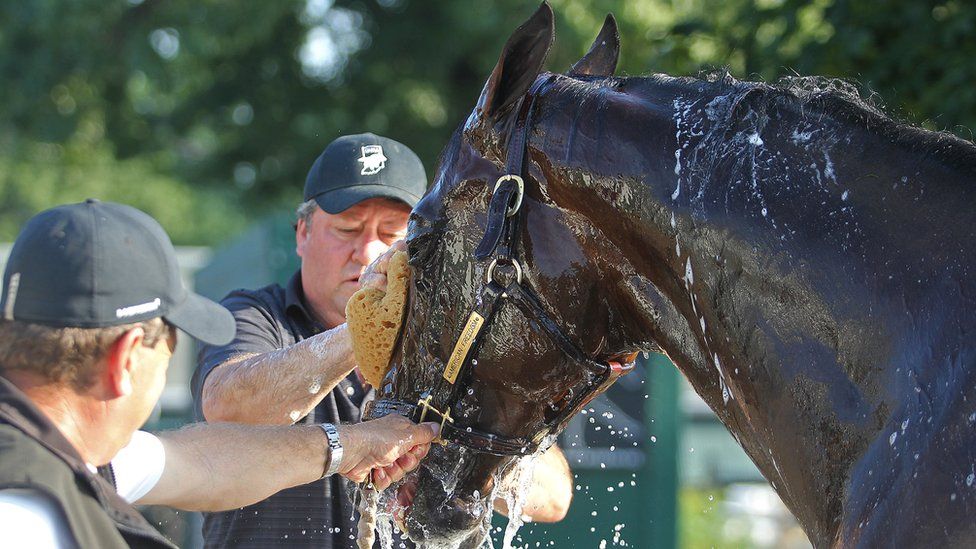 It's so hot in America that horse manure has caught fire in upstate New
