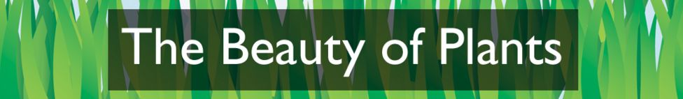Section heading: The Beauty of Plants