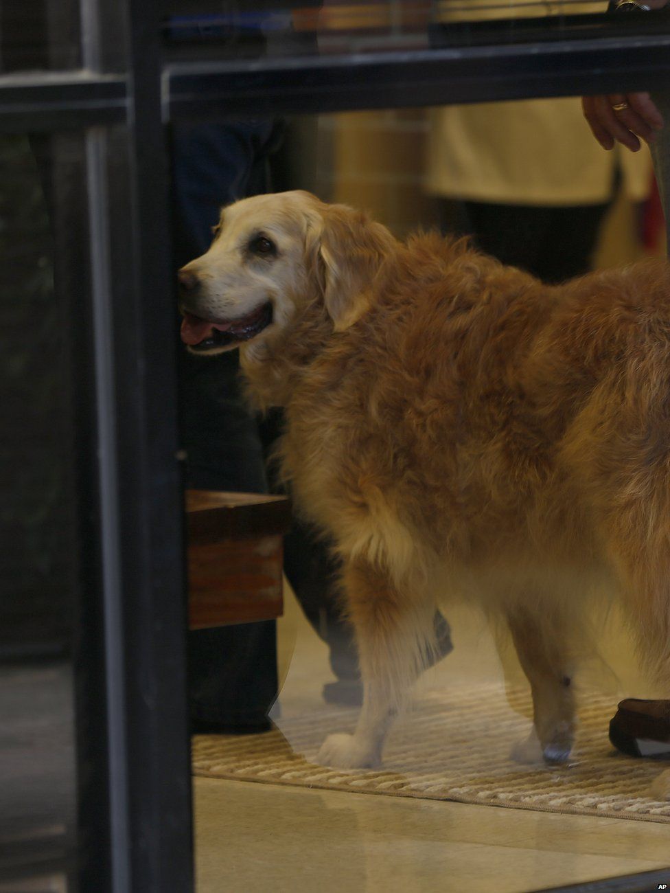 Bretagne's last walk