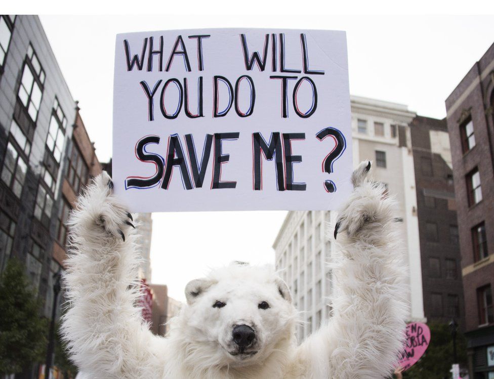 Protestor dressed as a polar bear