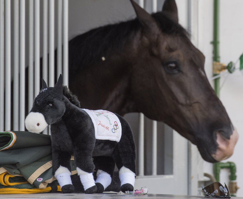Stray bullet flies into equestrian media centre