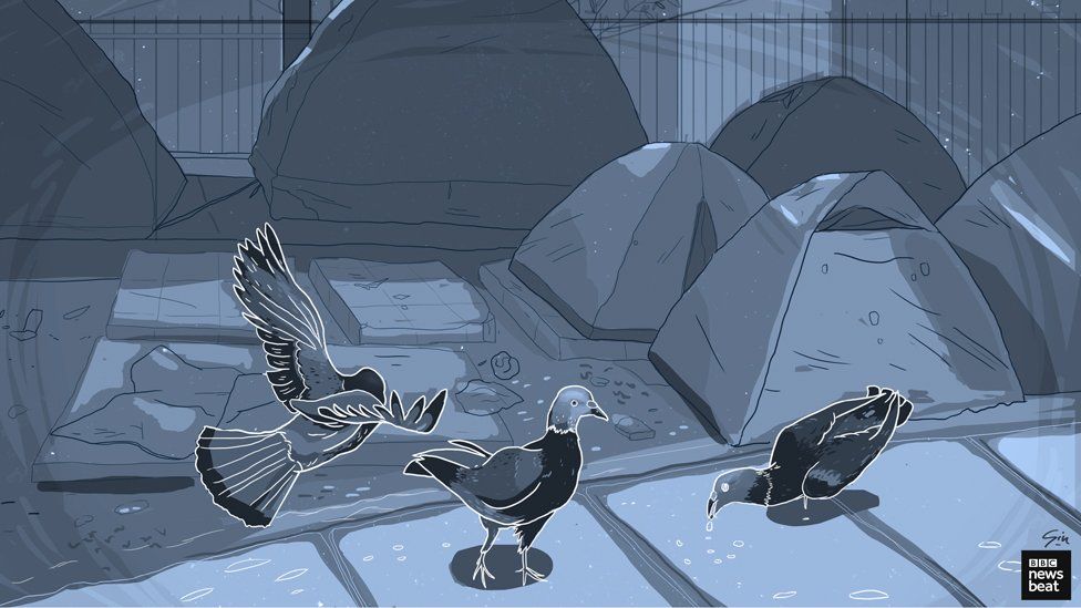 Illustration of birds and tents